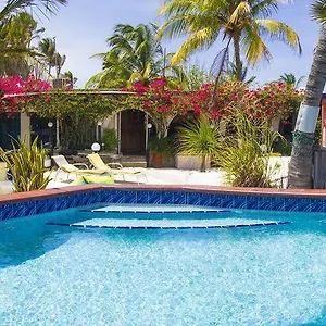 House Aruba , Palm Beach Aruba
